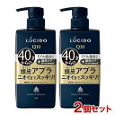 ルシード(LUCIDO) 薬用スカルプデオシャンプー 無香料 450ml×2個セット マンダム(mandom)【送料込】