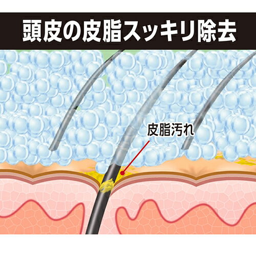 プロテク(PRO TEC) 頭皮ストレッチ シャンプー 詰替用 230g 医薬部外品 頭皮ケア・ニオイ対策 ライオン(LION) 3