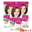 3個セット【3 明るいライトブラウン】無香料 白髪染め ヘアカラー 早染め乳液 サロンドプロ(SALON de PRO) ダリヤ(DARIYA)【送料込(北海道除く)】【今だけ限定SALE】