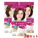 サロンドプロ 無香料ヘアカラー 早染め乳液 5 ナチュラルブラウン 3個セット 白髪染め SALON de PRO ダリヤ(DARIYA)【送料込(北海道除く)】【今だけ限定セール】