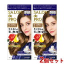 2個セット【2 より明るいライトブラウン】ザ・クリームヘアカラー(白髪用) サロンドプロ(SALON de PRO) ダリヤ(DARIYA)【送料込】