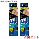 サロンドプロ 白髪かくしヘアカラー ナチュラルブラック 15ml×2個セット マスカラ式 SALON de PRO ダリヤ(DARIYA)【送料込(北海道除く)...
