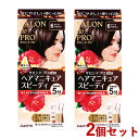 サロンドプロ ヘアマニキュア スピーディ 白髪用 2個セット 6ダークブラウン SALON de PRO ダリヤ(DARIYA)【送料込(北海道除く)】