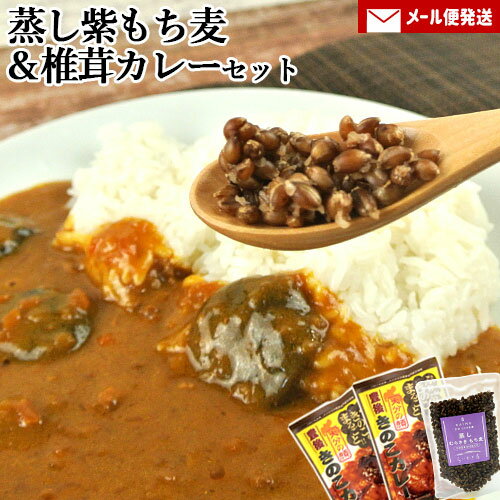 開封してそのまま食べられる 蒸しむらさきもち麦 85g&肉厚しいたけが丸ごと入った 椎茸カレー 90g×2個セット 2人前 お試し 紫もち麦 国産 大分県産 ト...