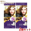 サロンドプロ 泡のヘアカラー・エクストラリッチ 白髪用 2B 明るいベージュブラウン 2個セット 医薬部外品 白髪染め ワンプッシュ SALON de PRO ダリヤ(DARIYA)【送料込(北海道除く)】