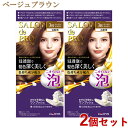 サロンドプロ 泡のヘアカラー・エクストラリッチ 白髪用 3B ベージュブラウン 2個セット 医薬部外品 白髪染め ワンプッシュ SALON de PRO ダリヤ(DARIYA)【送料込(北海道除く)】