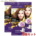 サロンドプロ 泡のヘアカラー・エクストラリッチ 白髪用 3B ベージュブラウン 3個セット 医薬部外品 白髪染め ワンプッシュ SALON de PRO ダリヤ(DARIYA)【送料込(北海道除く)】