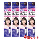 4個セット【ダークブラウン】 ボリュームアップスプレー 100g サロンドプロ(SALON de PRO) ダリヤ(DARIYA)【送料込】