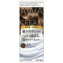ビゲン(Bigen) 泡クリームカラー 4A ヴェールアッシュ 白髪用 白髪染め ホーユー(hoyu)