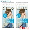 【2個セット】 シエロ(CIELO) デザイニングカラー ルーセントアッシュ ホーユー(hoyu) 白髪用 【送料込(北海道除く)】 白髪染め カラーリング