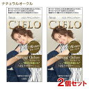 【2個セット】 シエロ(CIELO) デザイニングカラー ナチュラルオークル ホーユー(hoyu) 白髪用 【送料込(北海道除く)】 白髪染め カラーリング