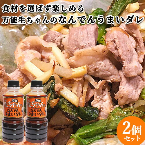 万能 生ちゃんのなんでんうまいダレ 360ml×2 BBQ 焼き肉 調味料 たれ 辛味も抑えめ トッパソースジャパン【送料込】