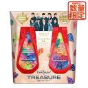 ラックス ルミニーク ダメージリペア TREASURE(トレジャー)コラボデザイン ポンプペア お試し容量(シャンプー370g トリートメント370g)セット LUX LUMINIQUE ユニリーバ(Unilever)【数量限定】