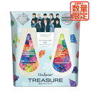 ラックス ルミニーク ボタニカルピュア TREASURE(トレジャー)コラボデザイン ポンプペア お試し容量(シャンプー370g+トリートメント370g)セット LUX LUMINIQUE ユニリーバ(Unilever)