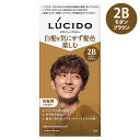 ルシード(LUCIDO) デザインヘアカラー 2Bモダンブラウン 黒髪も染まる白髪染め トリートメント付き マンダム(mandom)