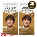 ルシード(LUCIDO) デザインヘアカラー 2Bモダンブラウン×2個セット 黒髪も染まる白髪染め トリートメント付き マンダム(mandom)【送料込】