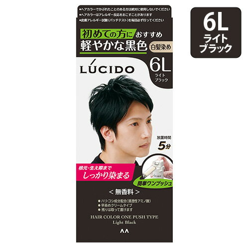ルシード(LUCIDO) ワンプッシュケアカラー 6L ライトブラック 白髪染めヘアカラー マンダム(mandom)