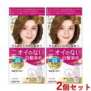 2個セット【2 より明るいライトブラウン】白髪染め 無香料ヘアカラー 早染め乳液 サロンドプロ(SALON de PRO) ダリヤ(DARIYA)【送料込(北海道除く)】【今だけ限定SALE】
