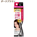 カラーオンリタッチ 白髪かくしEX 15ml サロンドプロ(SALON de PRO) ダリヤ(DARIYA)