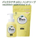 パックスナチュロン(PAX NATURON) ハンドソープ 本体260ml+詰替用450ml セット ヒノキの香り 太陽油脂 【送料込】 植物性石けん 泡状ポ..