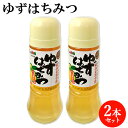 ゆずはちみつ 380g×2 化学調味料 甘味料 着色料 保存料不使用 柚子 大分県 蜂蜜 日田 つえエーピー【送料込】