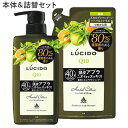 ルシード(LUCIDO) 薬用スカルプデオシャンプー ハーバルシトラス 本体450ml＆詰替用380ml ノンシリコン マンダム(mandom)【送料込】