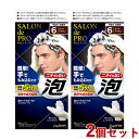 サロンドプロ 泡のヘアカラーEX メンズスピーディ 白髪用 2個セット 6 ダークブラウン 男性 SALON de PRO ダリヤ(DARIYA)【送料込(北海道除く)】