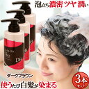 3Zbgy_[NuEzJ[Vv[ 300ml  wAPA Thv(SALON de PRO) _(DARIYA)yz