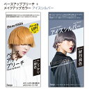 ビューティーン(Beauteen) ベースアップブリーチ＋メイクアップカラー アイスシルバー セット ホーユー(hoyu) 【送料込】 医薬部外品