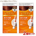 【2個セット】 シエロ(CIELO) ヘアカラー EX ミルキー 2 より明るいライトブラウン 白髪用 白髪染め ホーユー(hoyu) 【送料込(北海道除く)】