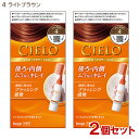 【2個セット】 シエロ(CIELO) ヘアカラー EX ミルキー 4 ライトブラウン 白髪用 ホーユー(hoyu) 【送料込(北海道除く)】 白髪染め