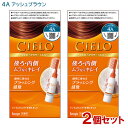 【2個セット】 シエロ(CIELO) ヘアカラー EX ミルキー 4A アッシュブラウン 白髪用 白髪染め ホーユー(hoyu) 【送料込(北海道除く)】