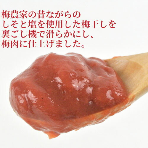 合成保存料 合成着色料は不使用 純梅肉 100g×5 日田市 大山町 大分県 ペースト 梅料理 梅だれ ながお梅園【送料込(北海道除く)】