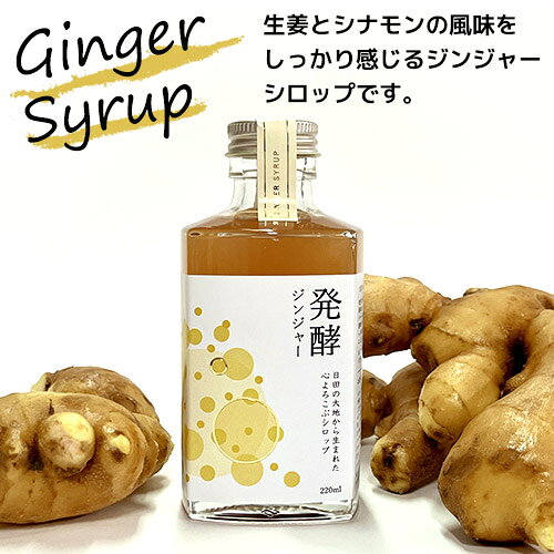 コスメボックスの生姜とシナモンの風味をしっかり感じるシロップ 発酵ジンジャー 220ml 3倍希釈 スパイス 炭酸割り お湯割り 牛乳で割ってチャイ風 令香梅の花乳酸菌入り インパクト｜アングル2