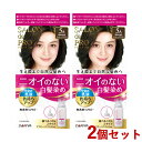 サロンドプロ 無香料ヘアカラー 早染め乳液 5A 深みのあるアッシュブラウン 2個セット 白髪染め SALON de PRO ダリヤ(DARIYA)【送料込(北海道除く)】【今だけ限定SALE】