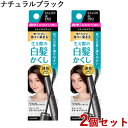 サロンドプロ カラーオンリタッチ 白髪かくしEX ナチュラルブラック 15ml×2個セット SALON de PRO ダリヤ(DARIYA)【送料込(北海道除く)】