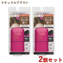 サロンドプロ リタッチワイドマーカー ナチュラルブラウン 20ml×2個セット SALON de PRO ダリヤ(DARIYA)【送料込(北海道除く)】