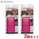 サロンドプロ リタッチワイドマーカー ダークブラウン 20ml×2個セット SALON de PRO ダリヤ(DARIYA)【送料込(北海道除く)】