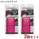 サロンドプロ リタッチワイドマーカー ナチュラルブラック 20ml×2個セット SALON de PRO ダリヤ(DARIYA)【送料込(北海道除く)】