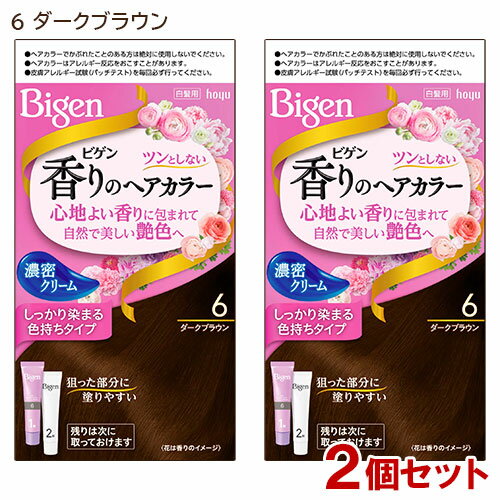 【2個セット】 ビゲン(Bigen) 香りのヘアカラー クリーム 6 ダークブラウン ホーユー(hoyu) 白髪染め 【送料込】