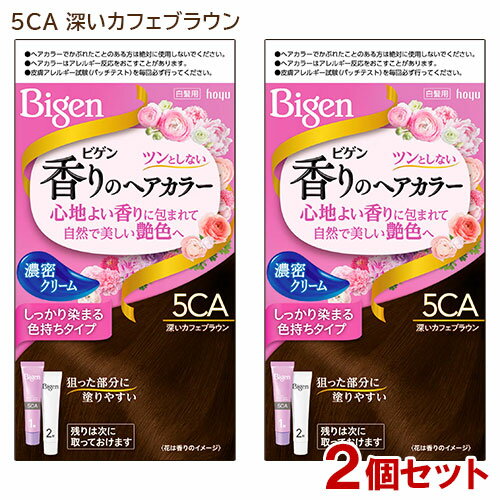 【2個セット】 ビゲン(Bigen) 香りのヘアカラー クリーム 5CA 深いカフェブラウン ホーユー(hoyu) 白髪染め 【送料込】 1