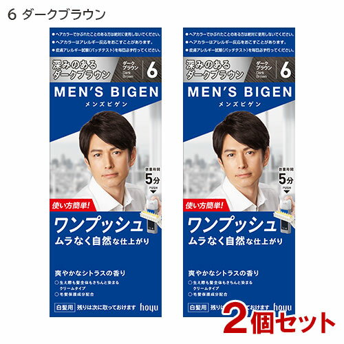 【2個セット】 メンズビゲン(MENS BIGEN) ワンプッシュ 6 ダークブラウン ホーユー(hoyu) 【送料込】 医薬部外品 男性用 白髪染め