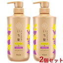 いち髪 ダメージリペア&カラーケア シャンプー ポンプ 本体 480ml×2個セット Ichikami クラシエ(Kracie)【送料込(北海道除く)】【今だけ限定セール】
