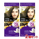 サロンドプロ 泡のヘアカラー・エクストラリッチ 白髪用 4G グレージュ 2個セット 医薬部外品 白髪染め ワンプッシュ SALON de PRO ダリヤ(DARIYA)【送料込(北海道除く)】