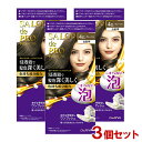 サロンドプロ 泡のヘアカラー・エクストラリッチ 白髪用 4G グレージュ 3個セット 医薬部外品 白髪染め ワンプッシュ SALON de PRO ダリヤ(DARIYA)【送料込(北海道除く)】