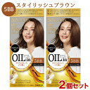 白髪染め オイルリッチクリームヘアカラー×2個セット 5BB スタイリッシュブラウン ワンプッシュ サロンドプロ SALON de PRO ダリヤ(DARIYA)【送料込(北海道除く)】【今だけ限定セール】