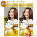 白髪染め オイルリッチクリームヘアカラー 3NB 2個セット グロッシーブラウン ワンプッシュ サロンドプロ SALON de PRO ダリヤ(DARIYA)【送料込(北海道除く)】【今だけ限定セール】