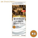 【単品送料込(北海道除く)】 ビゲン(Bigen) 泡クリームカラー 2N ブライトブラウン 白髪用 白髪染め ホーユー(hoyu)
