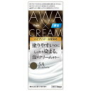 ビゲン(Bigen) 泡クリームカラー 5A ダークアッシュ 白髪用 白髪染め ホーユー(hoyu)