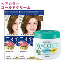 サロンドプロ 無香料ヘアカラー 早染めクリーム 白髪用 3B ベージュブラウン 2個&モイスタージュ Wコールドクリーム 270g SALON de PRO ダリヤ(DARIYA) MOISTAGE クラシエ(Kracie)【送料込(北海道除く)】